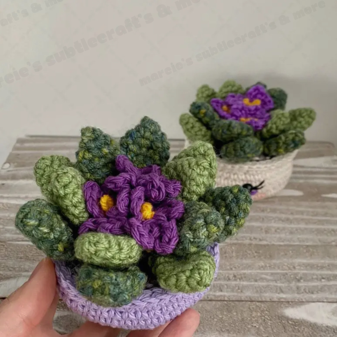 crochet african violets