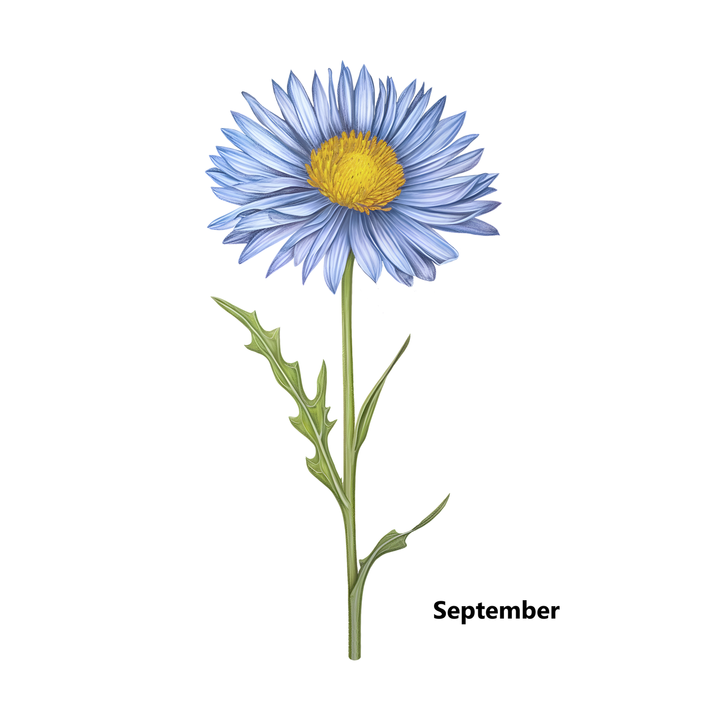 Birth Flower Customize Decorative Pillow