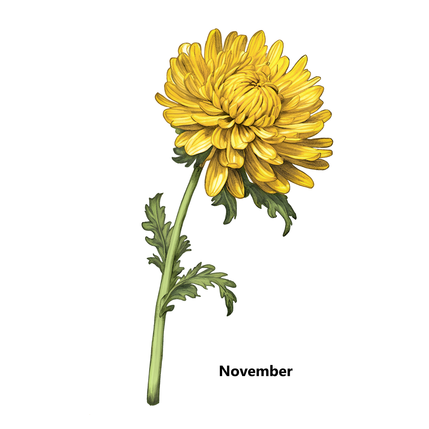 Birth Flower Customize Decorative Pillow