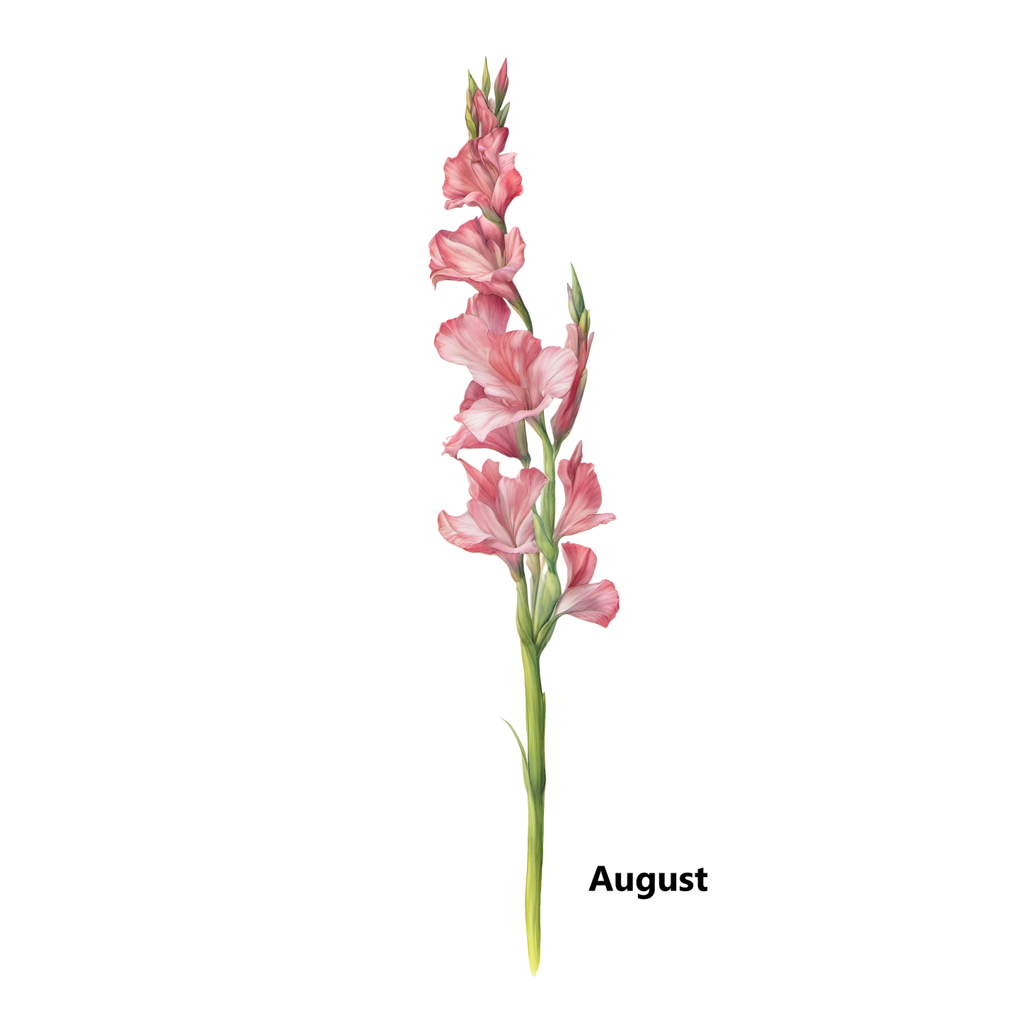 Birth Flower Customize Decorative Pillow