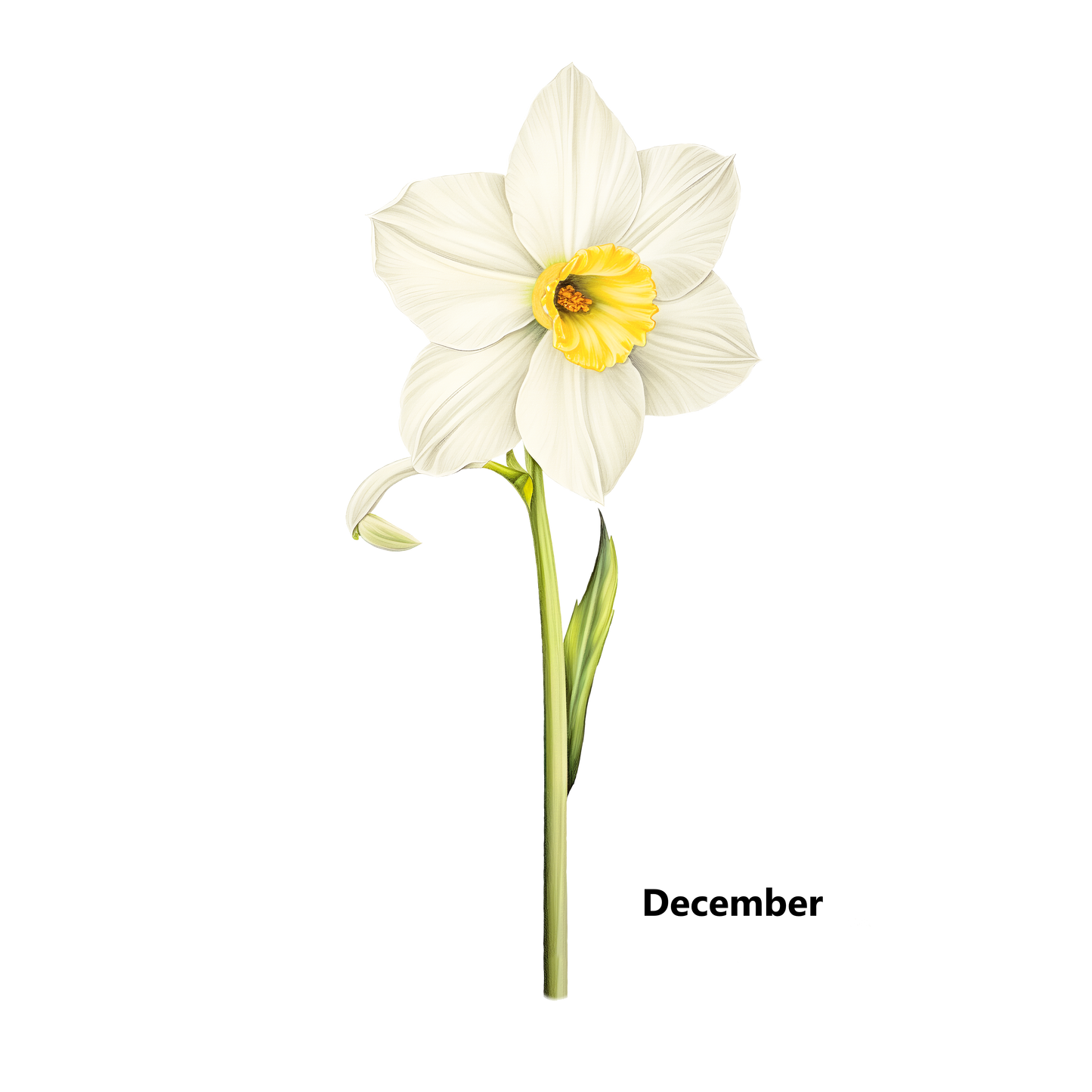 Birth Flower Customize Decorative Pillow