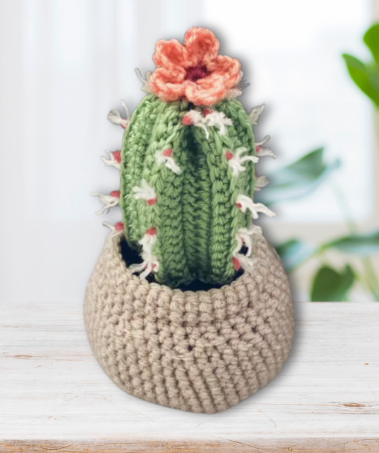 Crochet Cactus Car Dashboard Decor