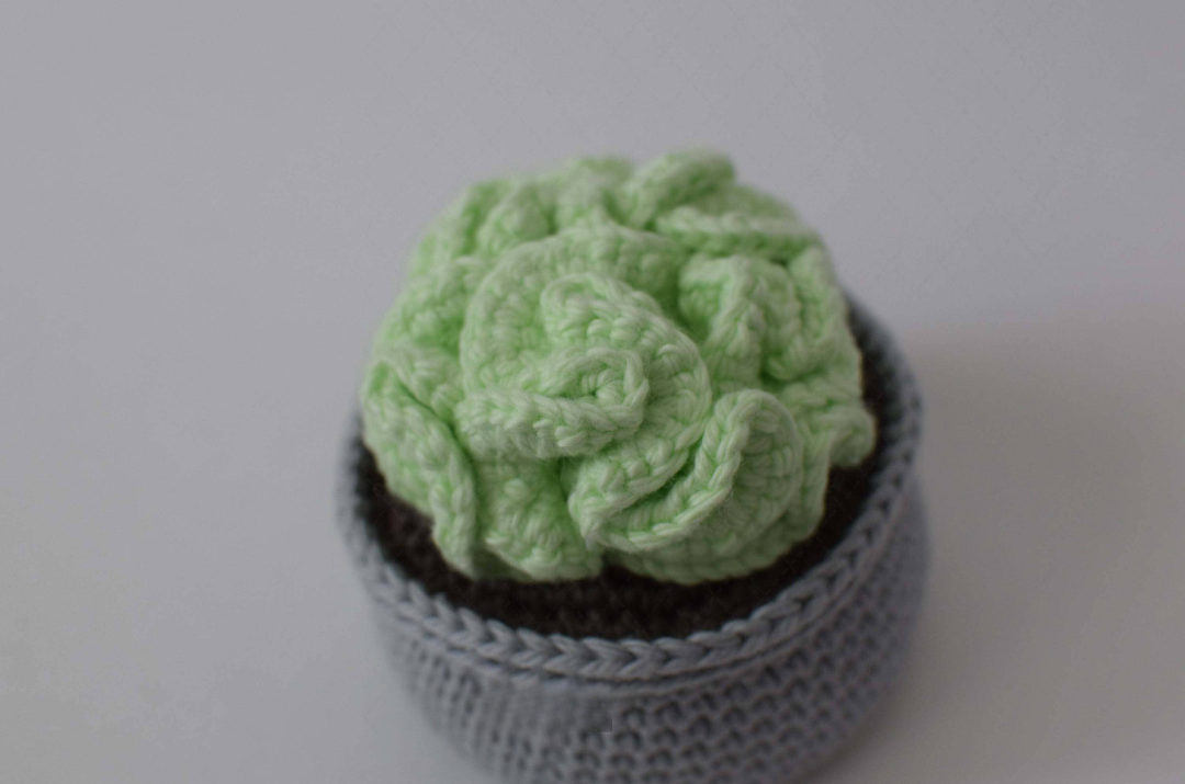Crochet Brain Cactus Car Ornament