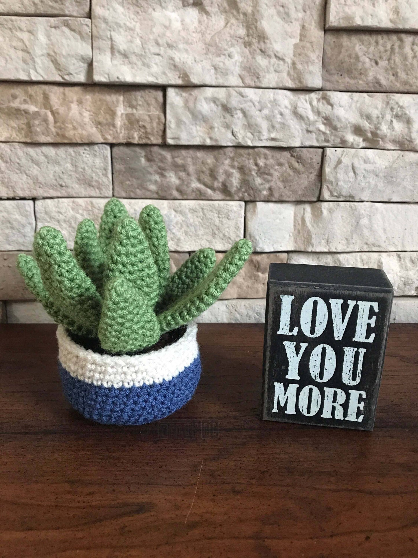 Handmade Crochet Aloe Vera Plant Pot