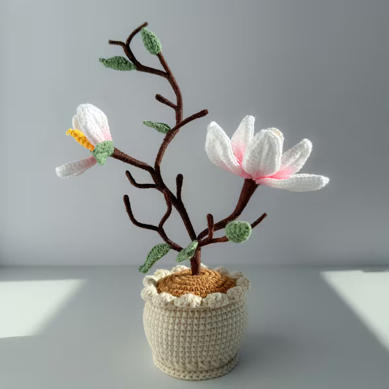 Magnolia Bloom