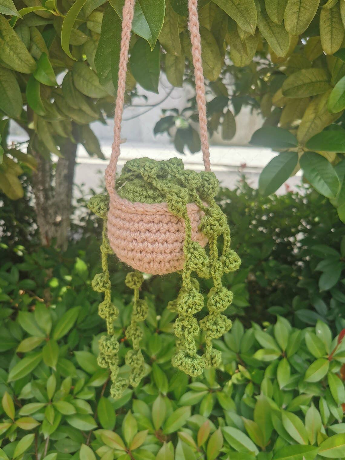 Trailing Moss Basket