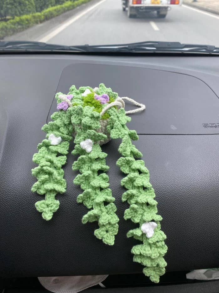 Trailing Sedum Basket