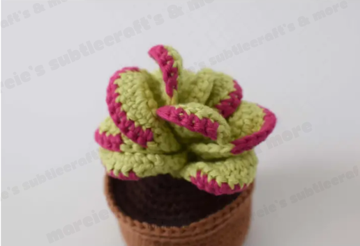 Crochet Flapjack Succulent Plant