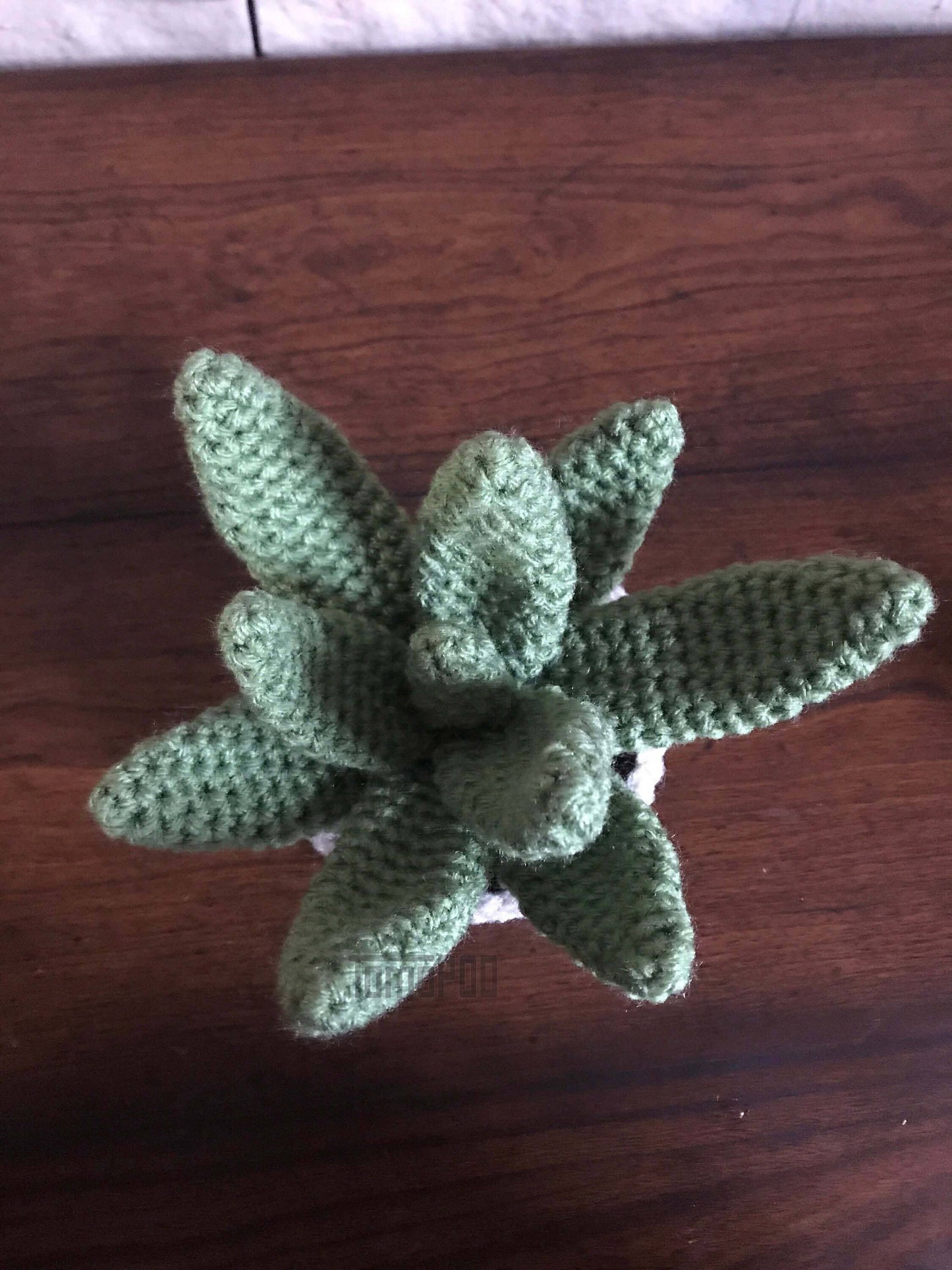 Handmade Crochet Aloe Vera Plant Pot