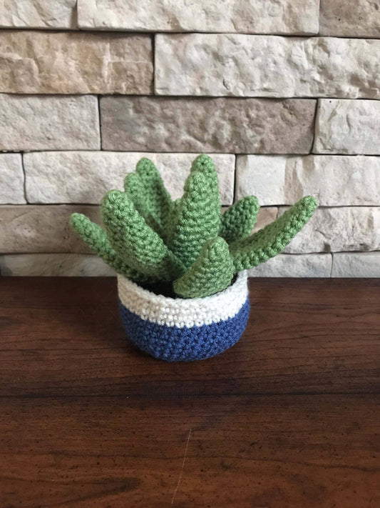 Handmade Crochet Aloe Vera Plant Pot