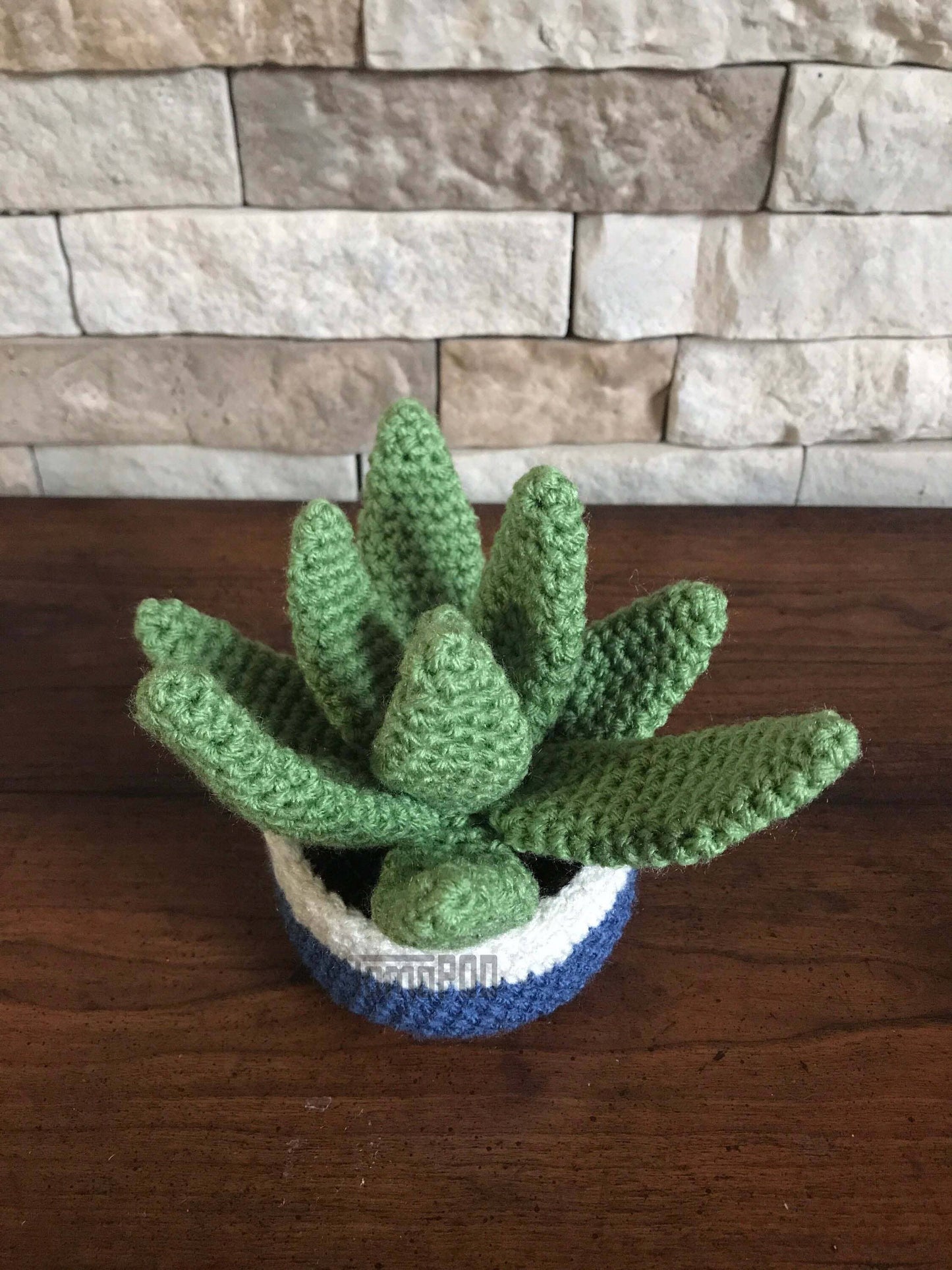 Handmade Crochet Aloe Vera Plant Pot