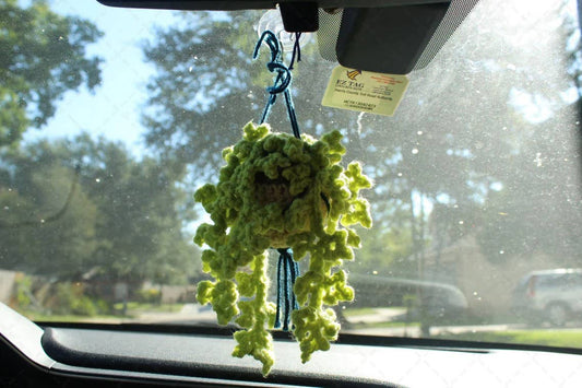 Handcrafted Crochet Hanging Succulent Plant