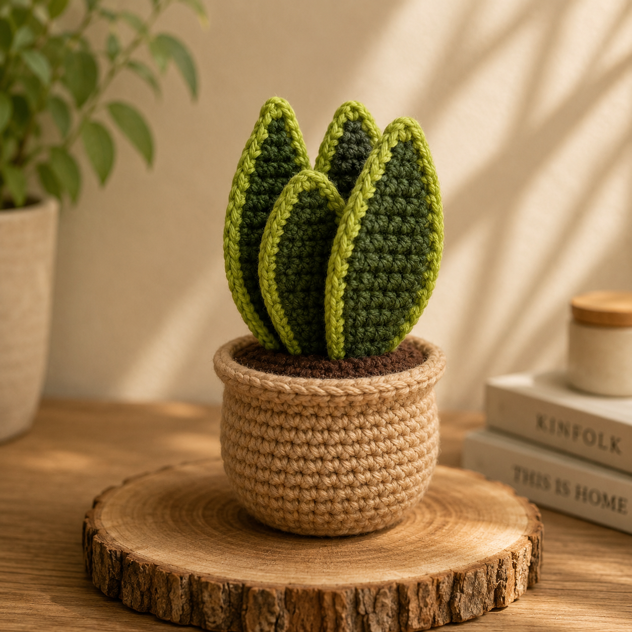 Snake Plant