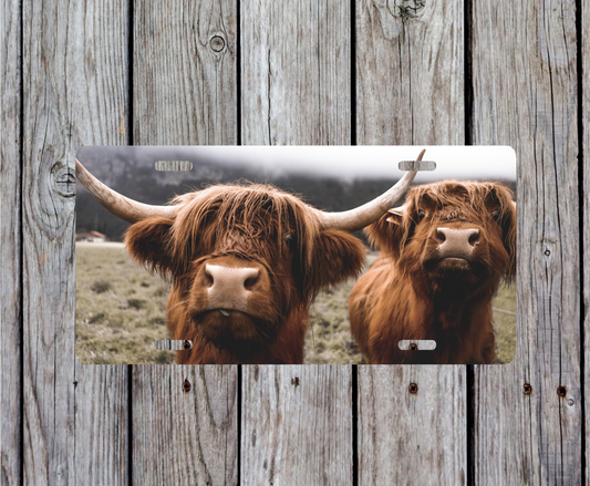 Highland Cow License Plate