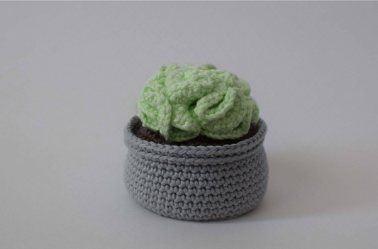 Crochet Brain Cactus Car Ornament