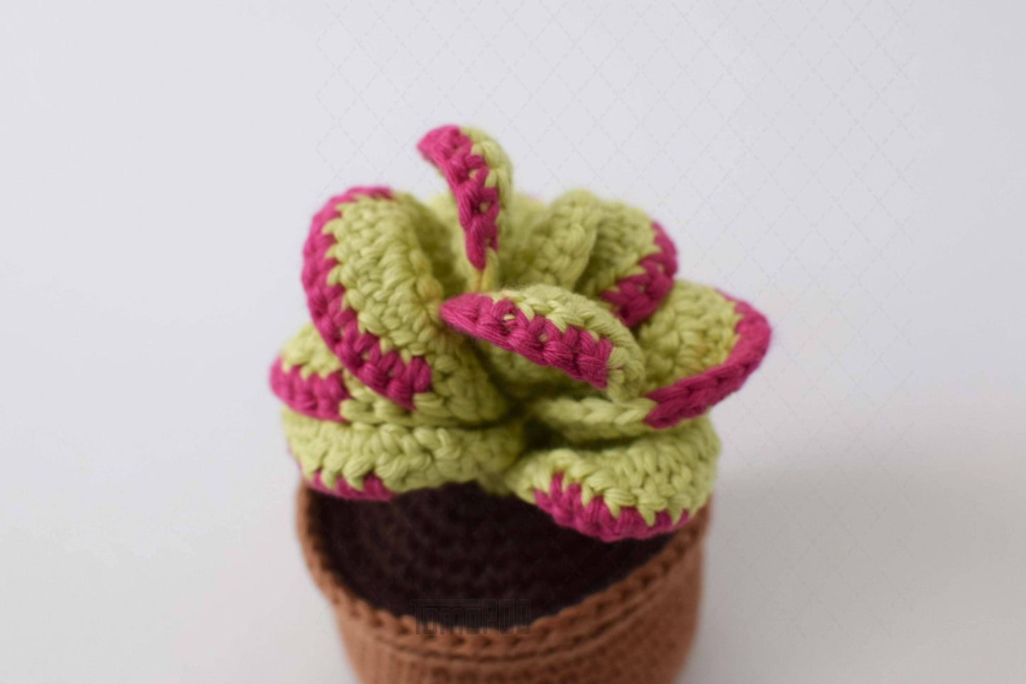 Crochet Flapjack Succulent Plant