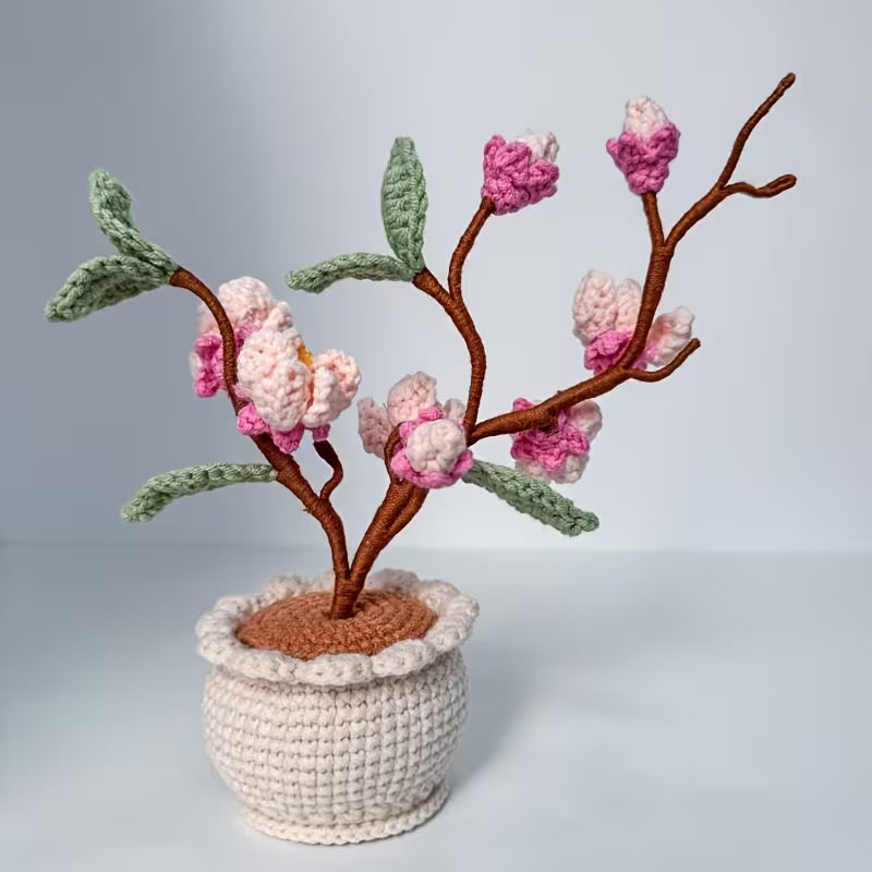 Blossoming Magnolia Tree