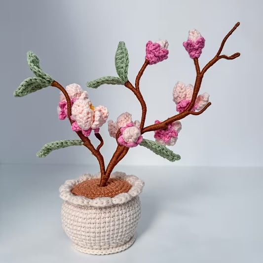 Blossoming Magnolia Tree