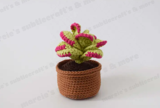 Crochet Flapjack Succulent Plant