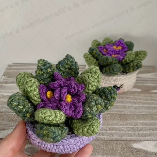 Crochet African Violet Desk Decor